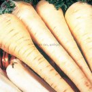Rare White Gem Parsnip Carrot Vegetables, 100 seeds