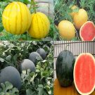 Rare Yellow / Black Skin Watermelon with red meat, 20 seeds