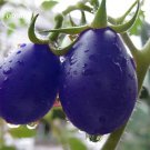 Rare Mixed Pear-shaped and Round Purple Cherry Tomato, 100 seeds