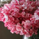 Rare Red Ripple Petunia Annual Flowers, 100 seeds, rare flowers
