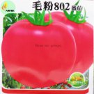 Rare 'Mao Fen 802' Pink Big Tomato Organic Seeds, 300 Seeds