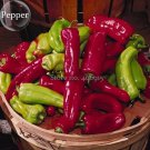 Rare 'Cubanelle' Pepper Green Red Orange Sweet Pepper, 50 Seeds