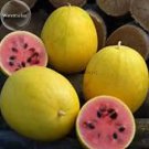 Rare Golden Midget Small Watermelon, 10 seeds, yellow skin melon with red meat