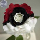 Rare Heirloom Rare White Black Red Tri-color Rose with white eye, 50 Seeds