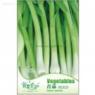 Rare Heirloom Chinese Green Leek Vegetables, Original Pack, 50 Seeds / Pack,