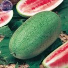 Rare Charleston Grey Giant Long Watermelon Seeds, 20 Seeds