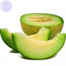 Rare BELLFARM Honeydew Sweet Melon Seeds, 20 Seeds