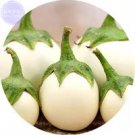 Rare BELLFARM Lao White Eggplant Seeds, Professional Pack, 200 Seeds
