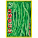 Rare Stringless Snap Bean Seeds 10 grams