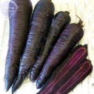Rare BELLFARM Carrot - Purple Sun F1 Seeds, 500 Seeds