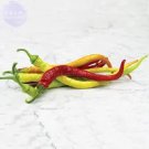 Rare BELLFARM Sweet Pepper Corbaci - Turkish Heirloom Seeds, 50 Seeds