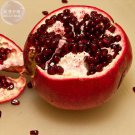 Rare BELLFARM Giant Pomegranate Seeds, 20 Seeds, Professional Pack