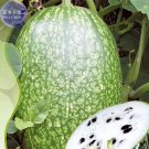 Rare Heirloom Malabar Gourd Seeds, Original Pack, 8 seeds