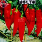 Rare BELLFARM Red Hot Chili Pepper Seeds, Original Pack, 200 Seeds