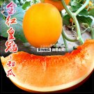 Rare BELLFARM Sweet Melon Red Inside Orange Skin Super Sweet Fruit Seeds, approx 250 seeds,