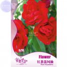 Rare BELLFARM Garden Balsam Red Impatiens Perennial Flower Seeds, 20 seeds