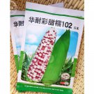 Rare BELLFARM Corn Colorful Sweet Glutinous Corn Seeds, 200 grams