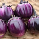 Rare BELLFARM Eggplant Violet Colors with White Streaks Vegetable Seeds, 100 seeds