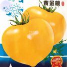 Rare BELLFARM Tomato Yellow 'Golden Peach' Sweet Fruit Seeds, 300 Seeds