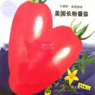 Rare BELLFARM Tomato American Imported Long Pink Fruit Vegetable Seeds, 300 seeds