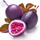 Rare BELLFARM Passion Fruit Passiflora edulis Fruit Seeds, 20 seeds