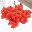 Rare Riesentraube Cherry Tomato Seeds, 100 seeds,