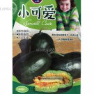 Rare Heirloom Elliptical Black Sweet Melon with Green Meat, Original Pack, 600 Seeds