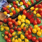 Rare 'Tomato New Family' Red Yellow Green Small Tomato Seeds, 100 seeds