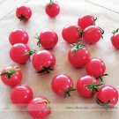 Rare Sweet Treats Hybrid Pink Cherry Tomato Seeds, Professional Pack, 100 Seeds