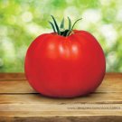 Rare Park's Whopper CR Improved Tomato Seeds, Professional Pack, 100 Seeds
