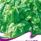 Rare Organic Giant Grandi Foglie Valentino Basil Seeds, Original Pack, 30 Seeds