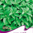 Rare Heirloom Rare Sweet Basil Organic Seeds, 30 Seeds / Pack