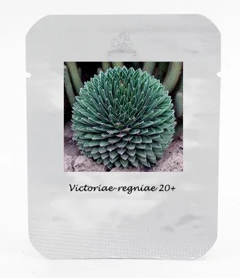 Rare 1 Professional Pack, 20 seeds / pack, Agave Victoriae-Reginae Seed