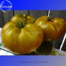 Rare Cherokee Golden Big (Dark Brandy, RU taosiy) Tomato 100 Seeds