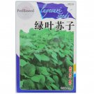 Rare Heirloom Green Perilla Seeds, Original Pack, 5000 Seeds