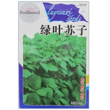 Rare Heirloom Green Perilla Seeds, Original Pack, 5000 Seeds