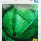 Rare Heirloom Vegetable Garden Cabbage 'Jing Feng F1' 1200 Seeds