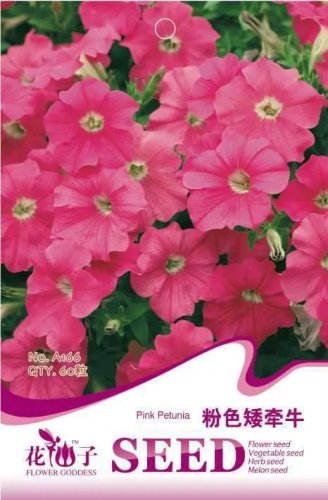 Rare 1 Original Pack, 60 seeds / pack, Pink Petunia Bright Color Rare Seed