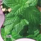 Rare -1 Original Pack, 40 seeds / pack, Fresh Lemon Mint Herbs Balm Heirloom Seeds