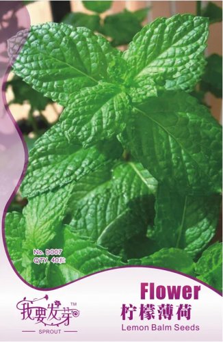 Rare -1 Original Pack, 40 seeds / pack, Fresh Lemon Mint Herbs Balm Heirloom Seeds