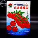 Rare 'Fire Dragon Ball' Bright Red Truss Cherry Tomato Organic 300 Seeds