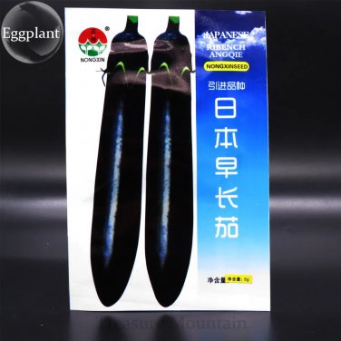 Rare Imported Japanese Early Black Long Eggplant Vegetable 300 Seeds