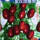 Rare 1 Original Pack, approx 250 seeds / pack, Purple Rose Dwarf Tomato