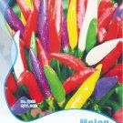 Rare Allochroic Pod Pepper Seeds, Original Pack, 20 Seeds / Pack