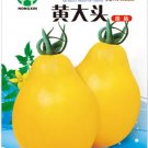 Rare Big Yellow 'Pear' Tomato with Red End Organic Seeds, 1 Original Pack, 150 Seeds