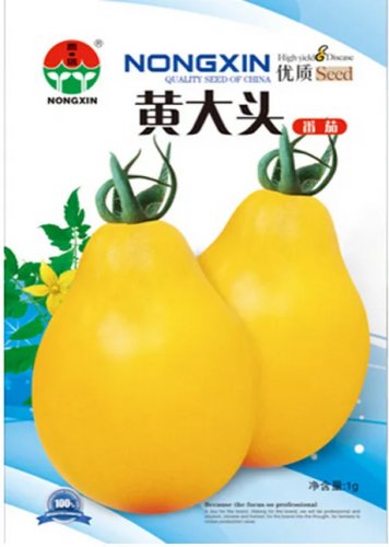 Rare Big Yellow 'Pear' Tomato with Red End Organic Seeds, 1 Original Pack, 150 Seeds