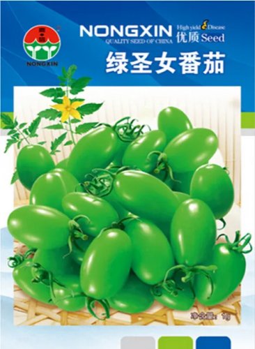 Rare Green Cherry Tomato 'Saintess' Organic Seeds, Original Pack, 300 Seeds