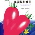 Rare American Pink Long Tomato Organic Seeds, 1 Original Pack, 300 Seeds