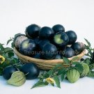 Rare Black Royal Little Cherry Tomato Organic  100 Seeds