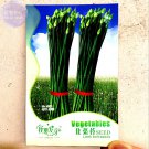 Rare 1 Original Pack, 50 seeds / pack, Fresh Garlic Chives Seeds